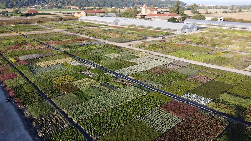 photo pépinières damien vivier