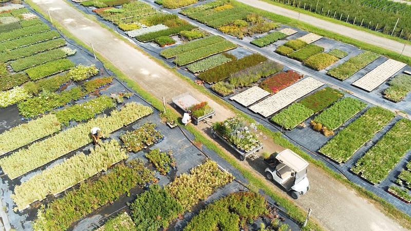 photo pépinières rouy