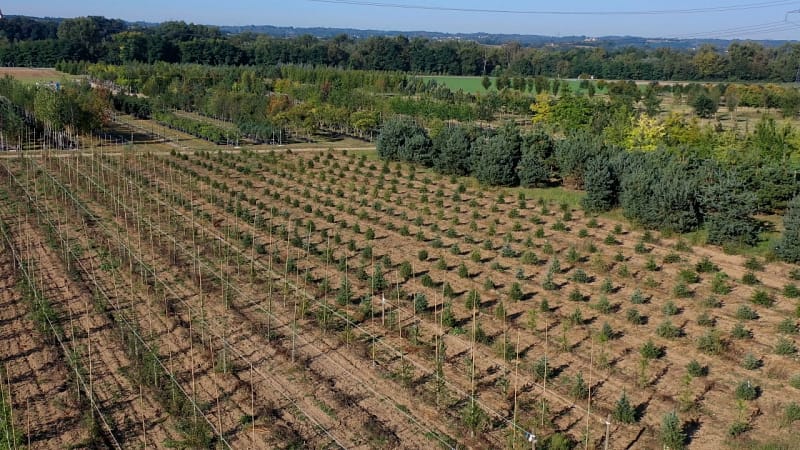 photo pépinières cholat